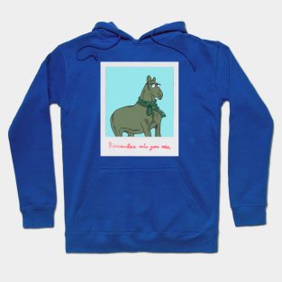 Your Homie Horse Hoodie